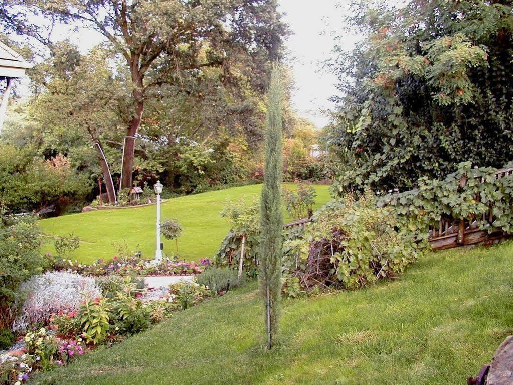 Robin'S Nest Bed & Breakfast San Andreas Buitenkant foto